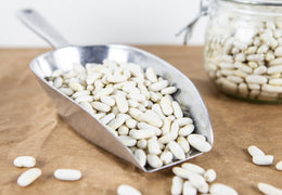 Haricots blancs bio