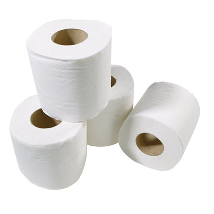 Papier toilette recyclé Ecolabel rouleau de 600 feuilles