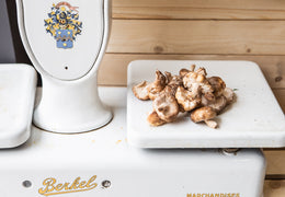 Champignons - Shiitakés bio & locaux