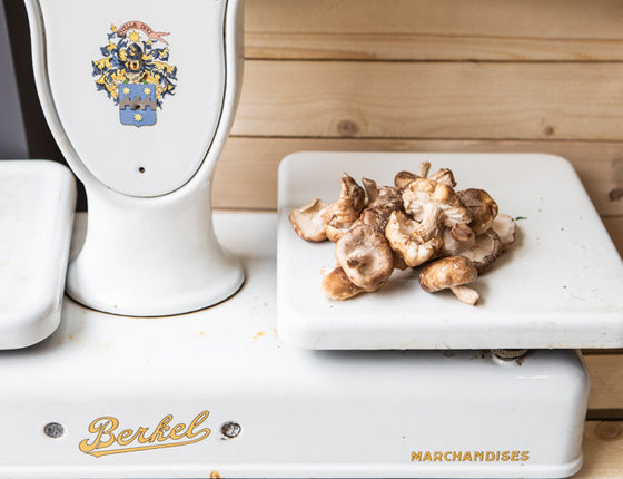 Champignons - Shiitakés bio & locaux