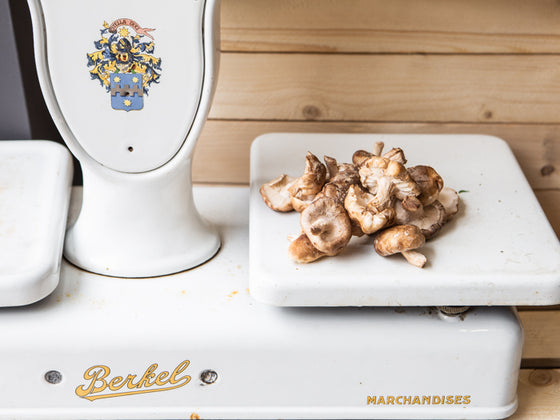 Champignons - Shiitakés bio & locaux