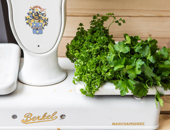 Aromates bio & locaux - en bouquet