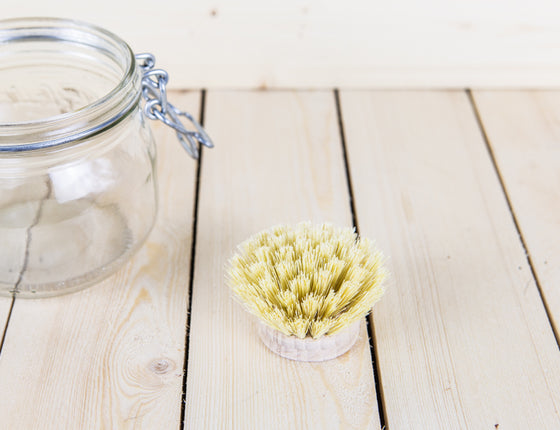 Brosse vaisselle fibre : la recharge
