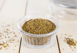 Graines d’alfalfa bio