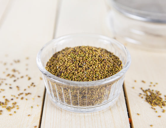 Graines d’alfalfa bio