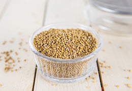 Graines de moutarde jaune bio