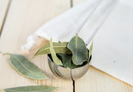 Feuilles de laurier bio